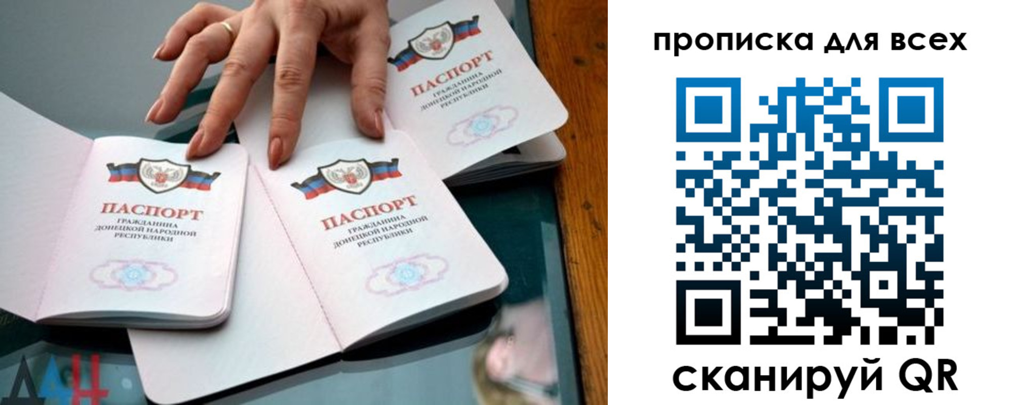 прописка гарантия в Николаевске